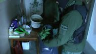 Только трое мужчин из Кендзежин-Козле смогли успешно провести контрабанду марихуаны из Нидерландов в Польшу